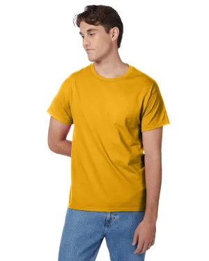 5250T-Hanes-GOLD