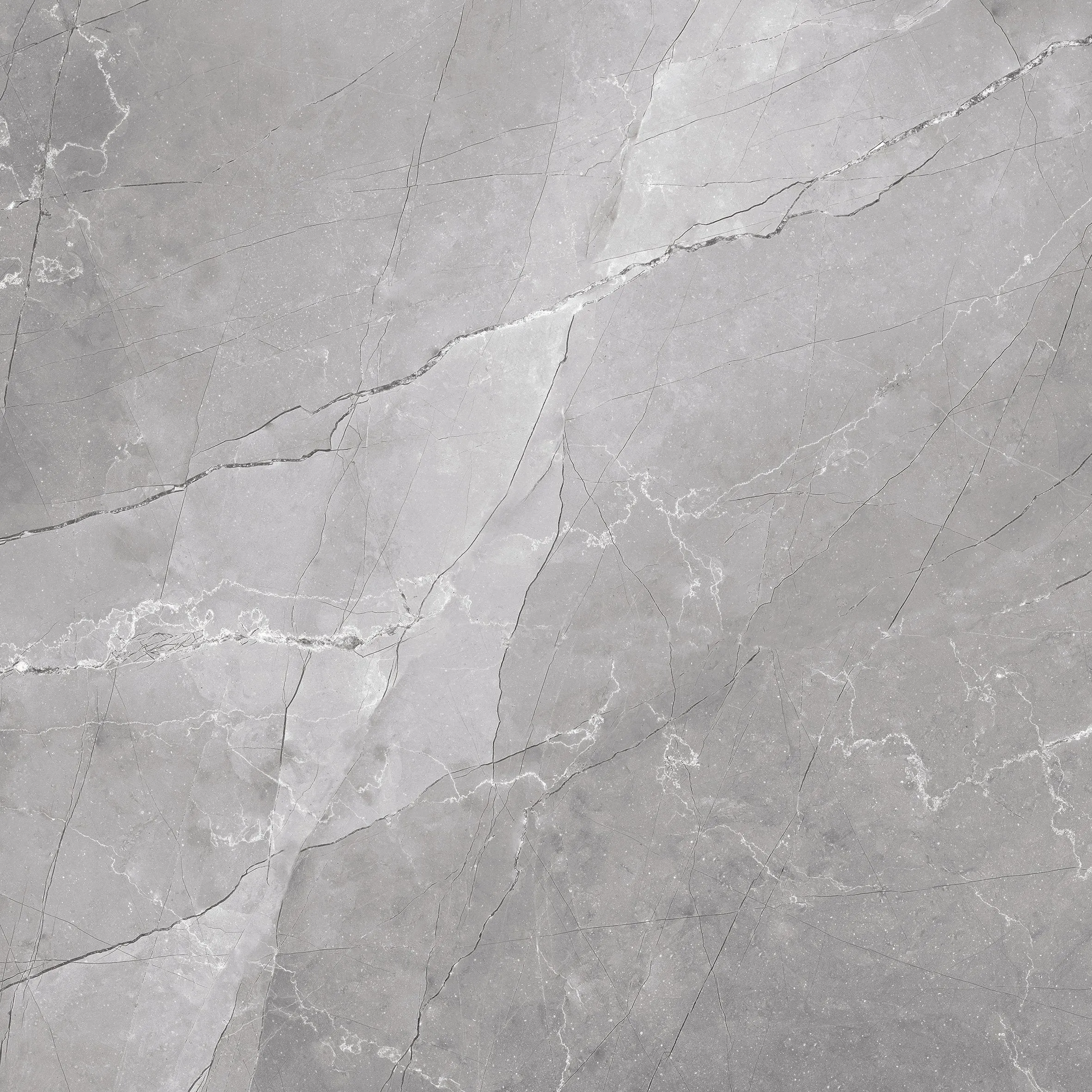 Liza Gray Polished
