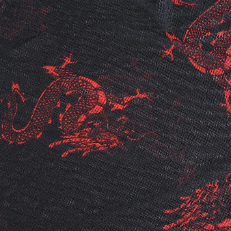 Summer Streetwear Sexy Mesh Crop Top Chinese Style Dragon Print Long Sleeve